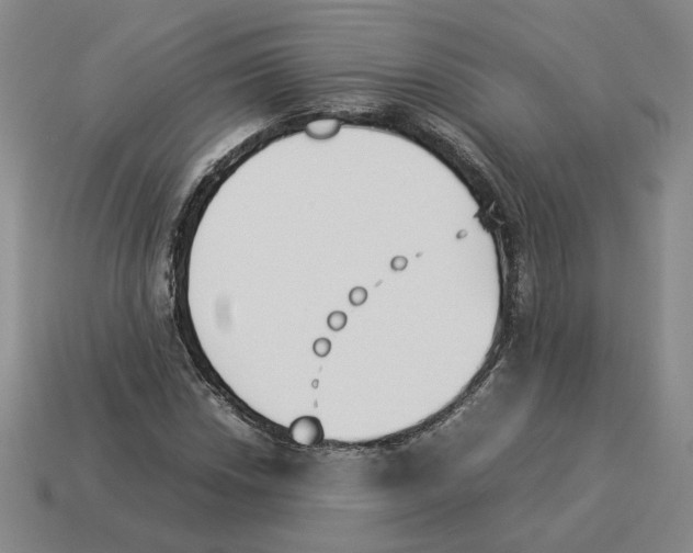 X0000114231018200911061523
