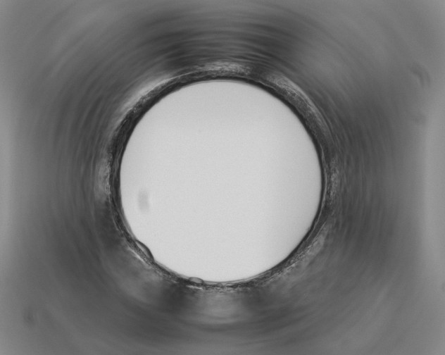 X0000114231019200911061523