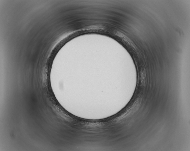 X0000114231021200911061523