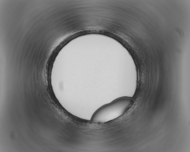 X0000114231022200911061523