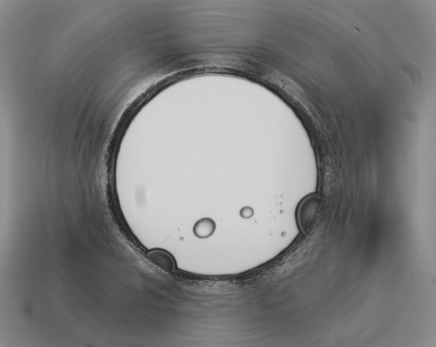 X0000114231024200911061523
