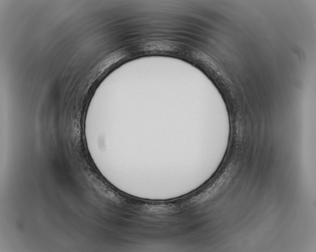 X0000114231025200911061523