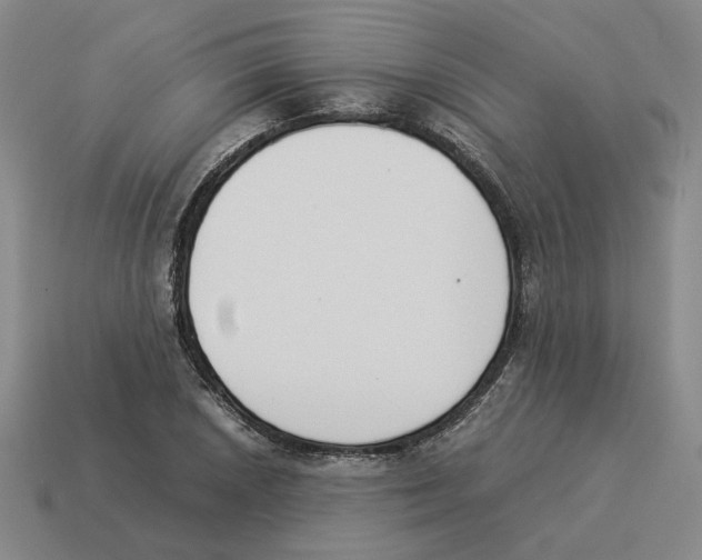X0000114231026200911061523