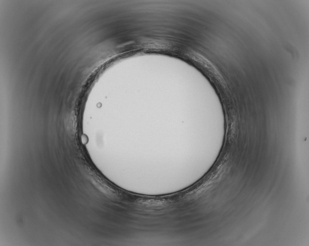 X0000114231027200911061523