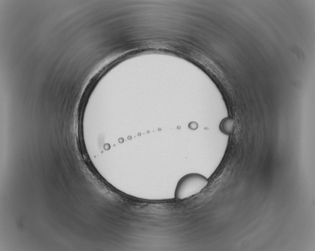 X0000114231028200911061523