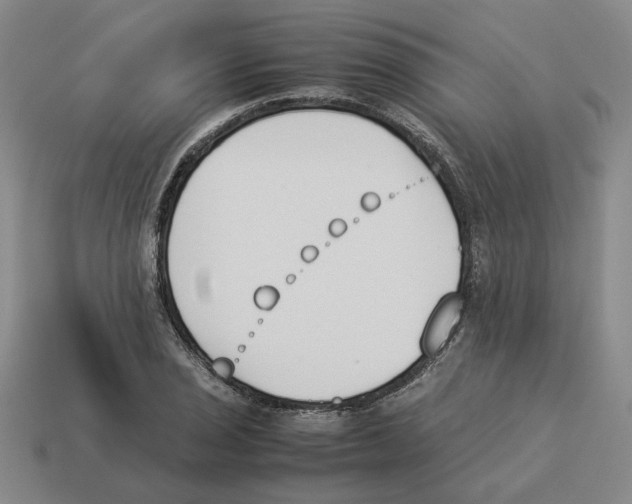 X0000114231029200911061523