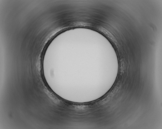 X0000114231031200911061523