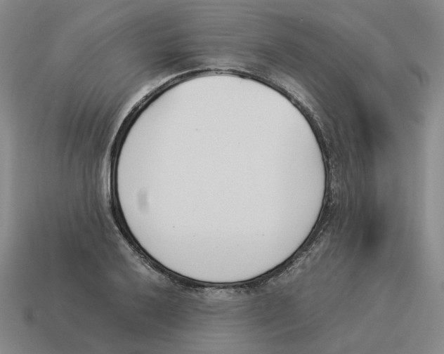 X0000114231032200911061523