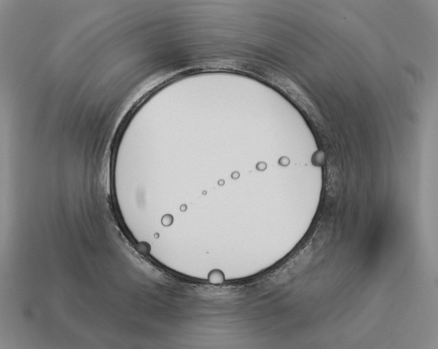 X0000114231036200911061524