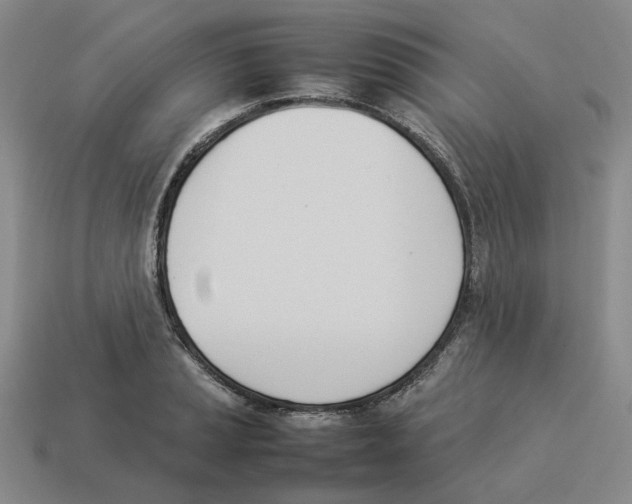 X0000114231037200911061524