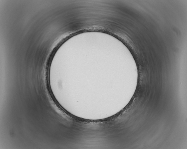 X0000114231038200911061524