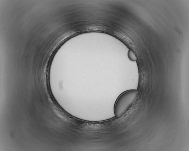 X0000114231039200911061524