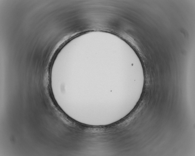 X0000114231040200911061524
