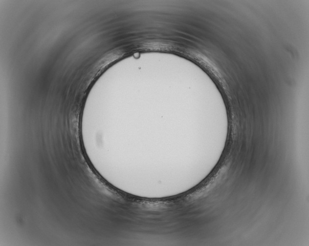 X0000114231041200911061524