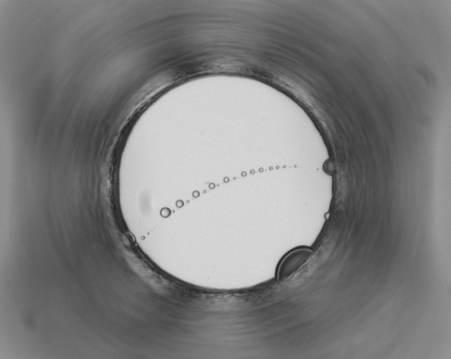 X0000114231042200911061524