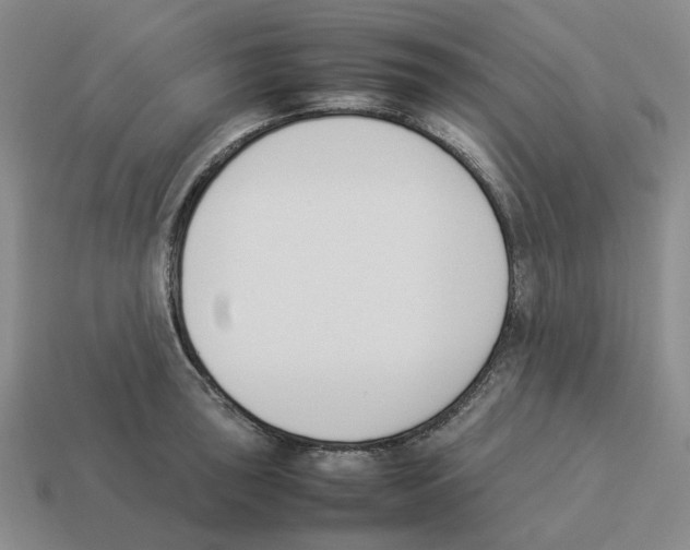 X0000114231043200911061524