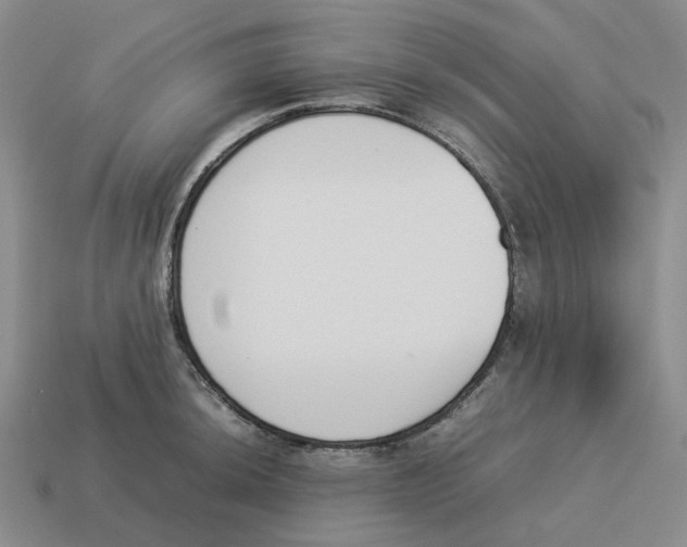 X0000114231044200911061524