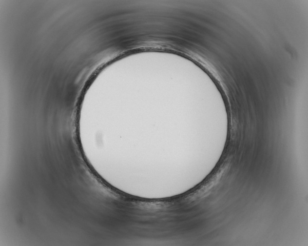 X0000114231045200911061524