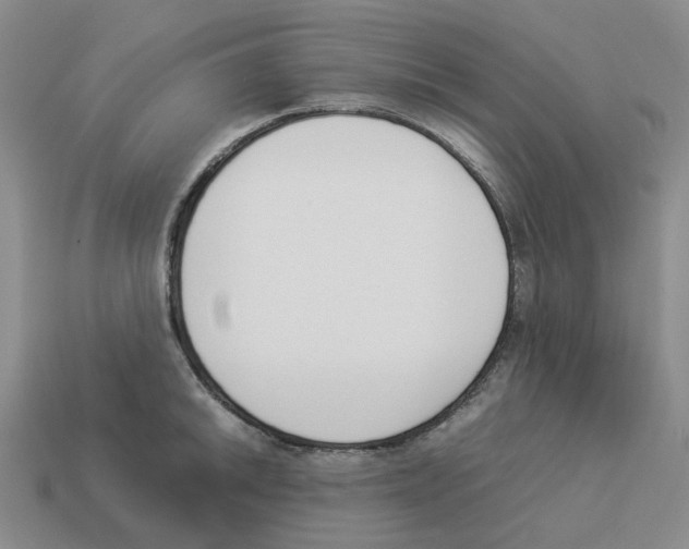 X0000114231046200911061524