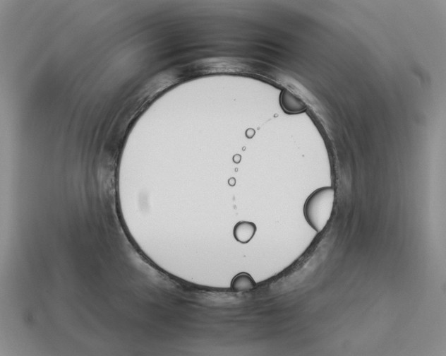 X0000114231049200911061524