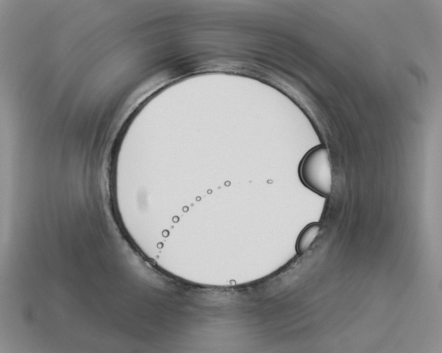 X0000114231050200911061524