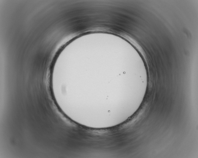X0000114231053200911061524