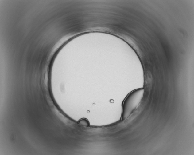 X0000114231054200911061524