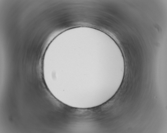 X0000114231056200911061524
