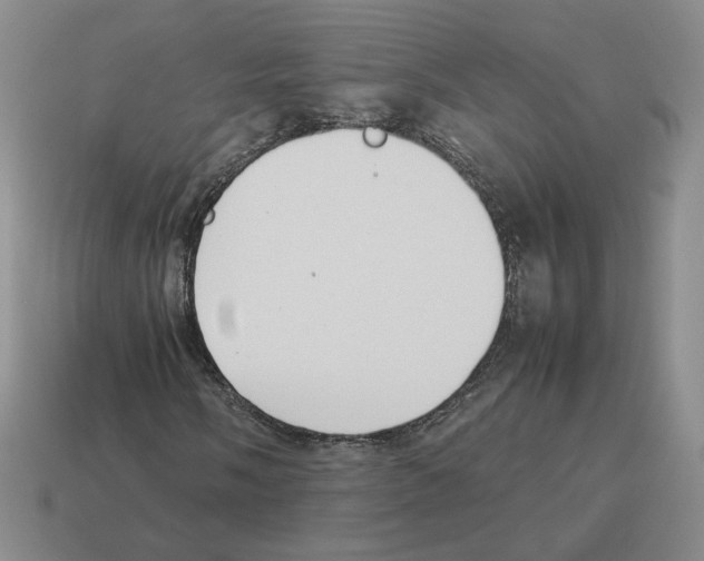 X0000114231058200911061523