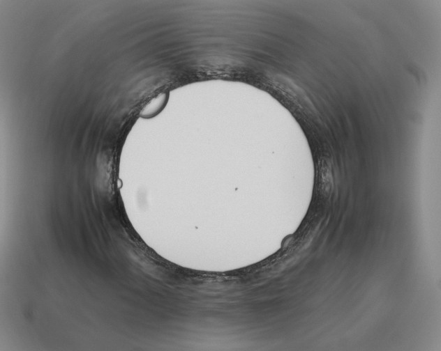 X0000114231060200911061523