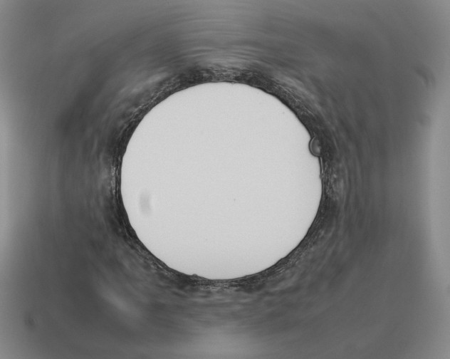 X0000114231061200911061523