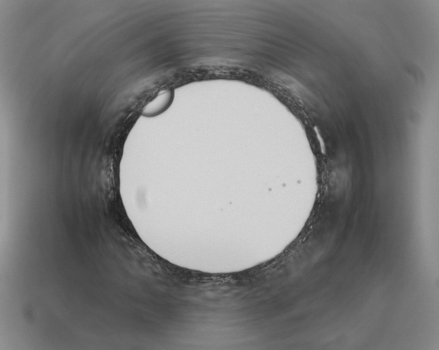 X0000114231062200911061523