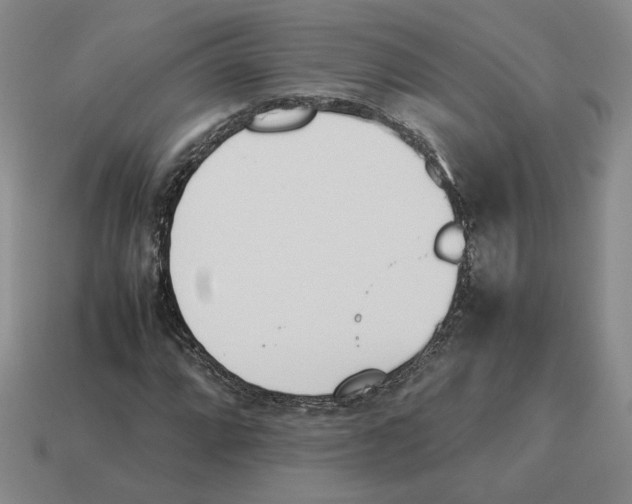 X0000114231064200911061523