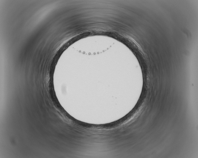 X0000114231065200911061523