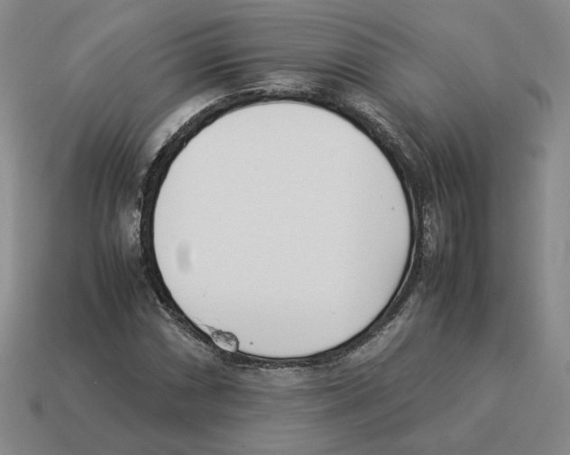 X0000114231066200911061523