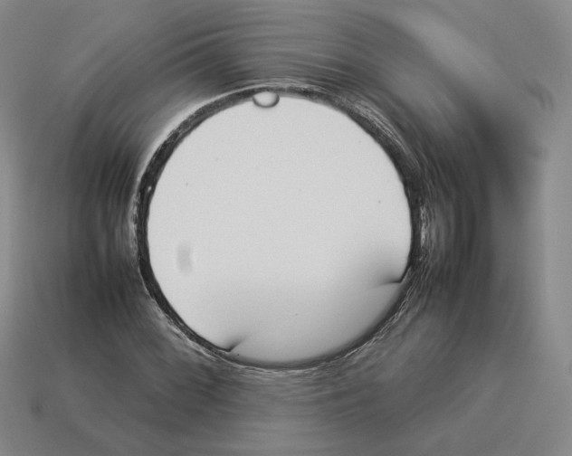X0000114231068200911061523