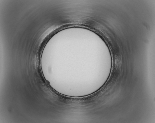 X0000114231069200911061523