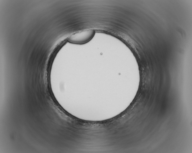X0000114231072200911061523