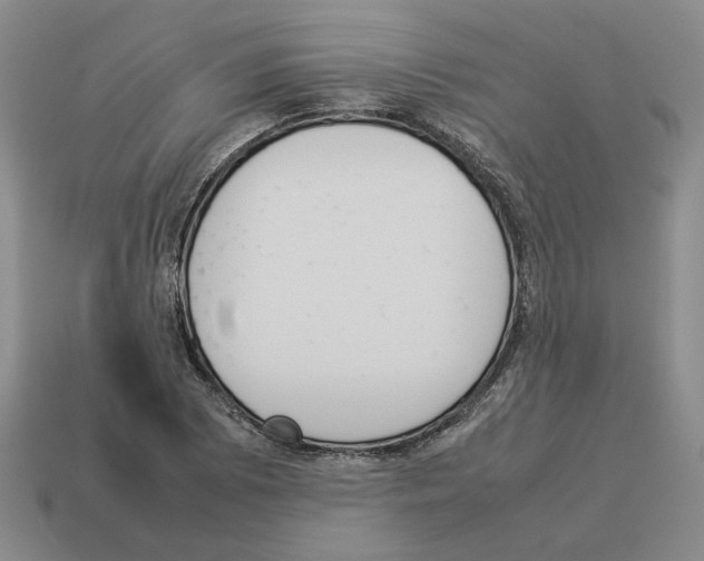 X0000114231073200911061523