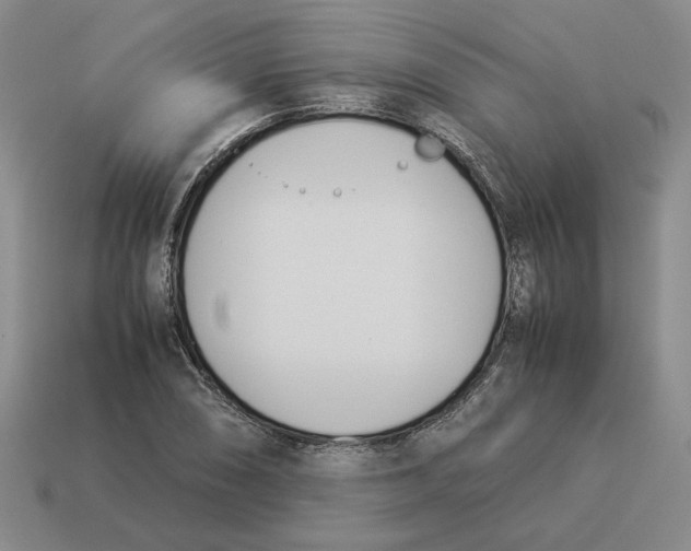 X0000114231074200911061523