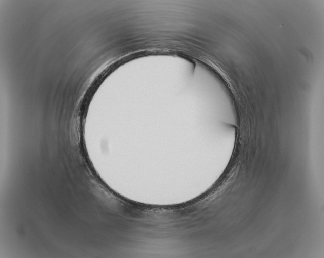 X0000114231075200911061523