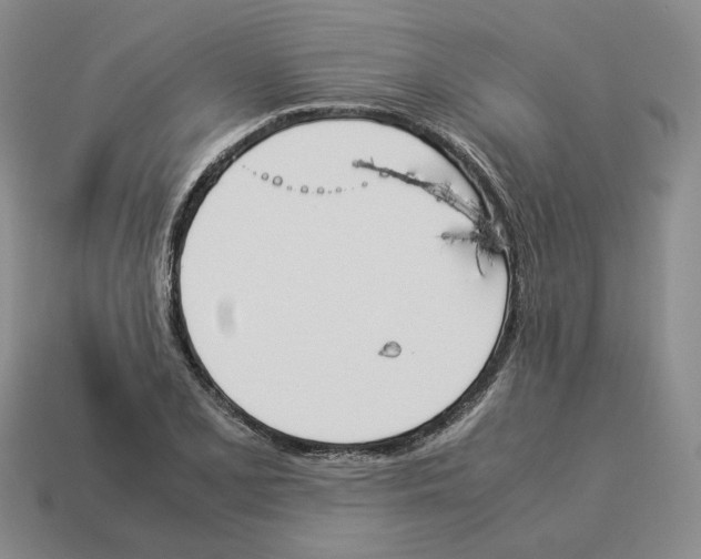 X0000114231077200911061523