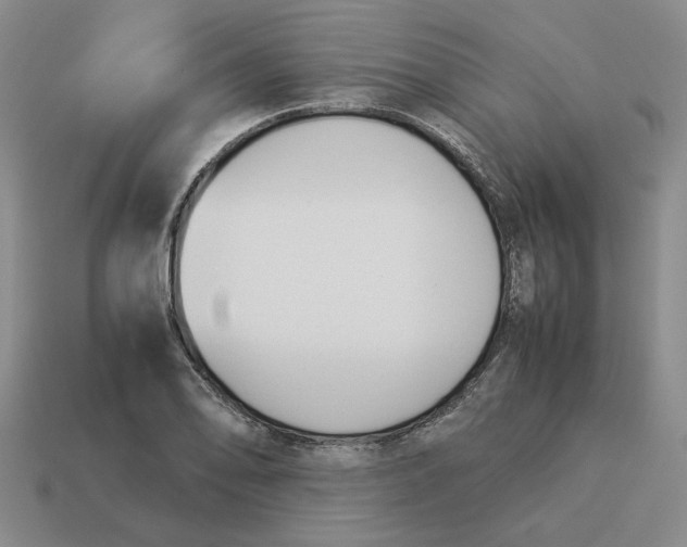 X0000114231078200911061523