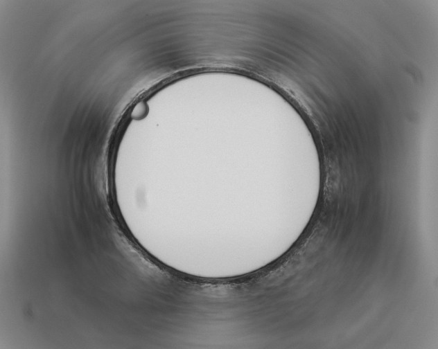 X0000114231080200911061523