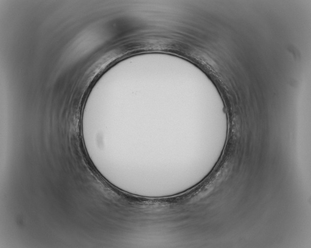 X0000114231081200911061523