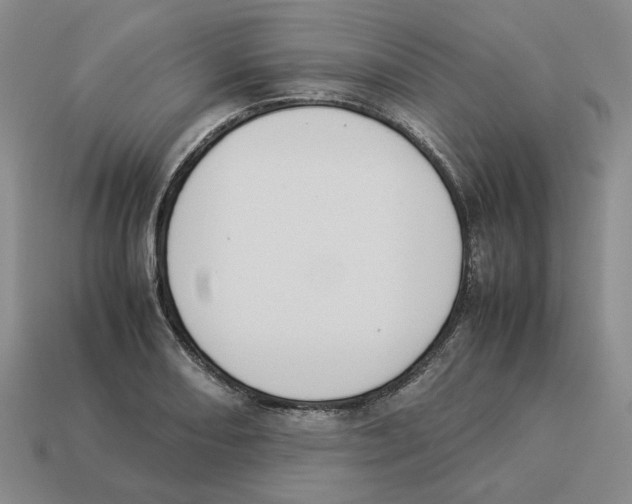 X0000114231082200911061523