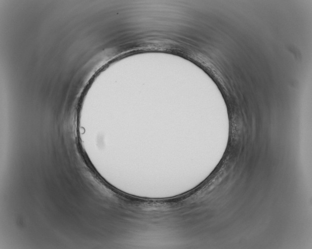 X0000114231083200911061523