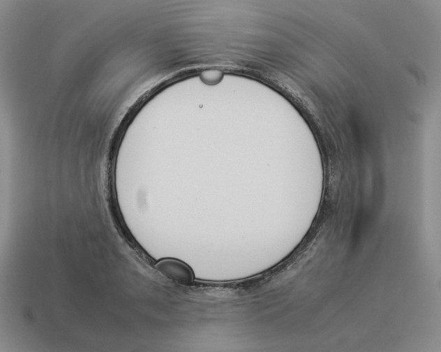 X0000114231085200911061523