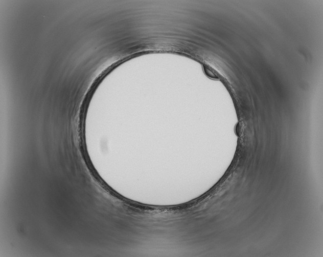 X0000114231087200911061523