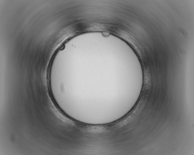 X0000114231090200911061523